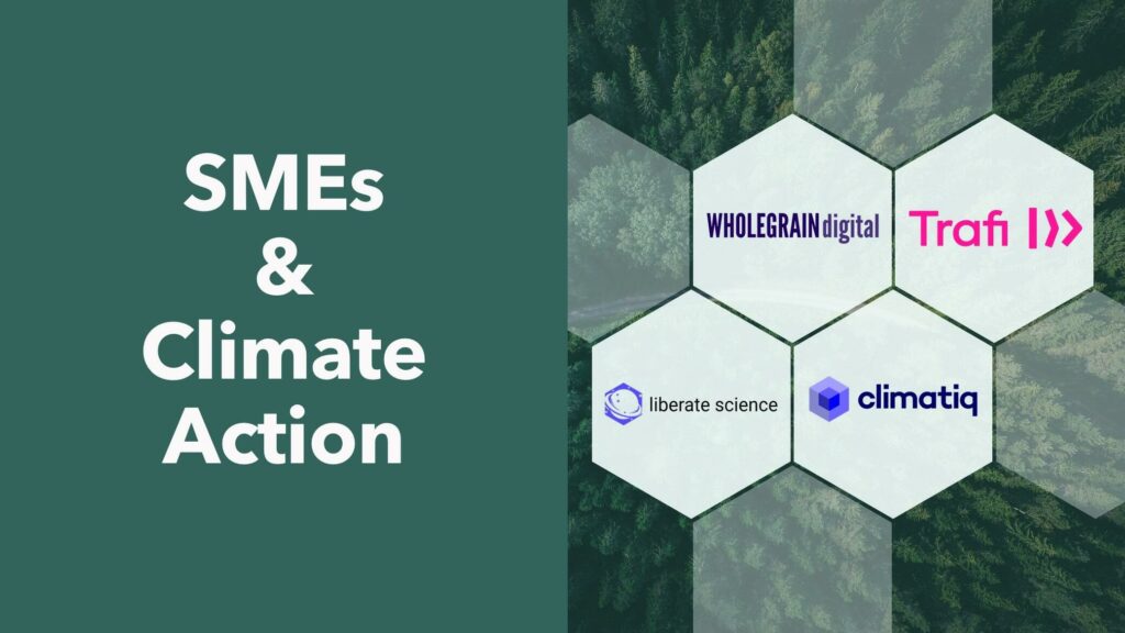 SMEs and Climate Action