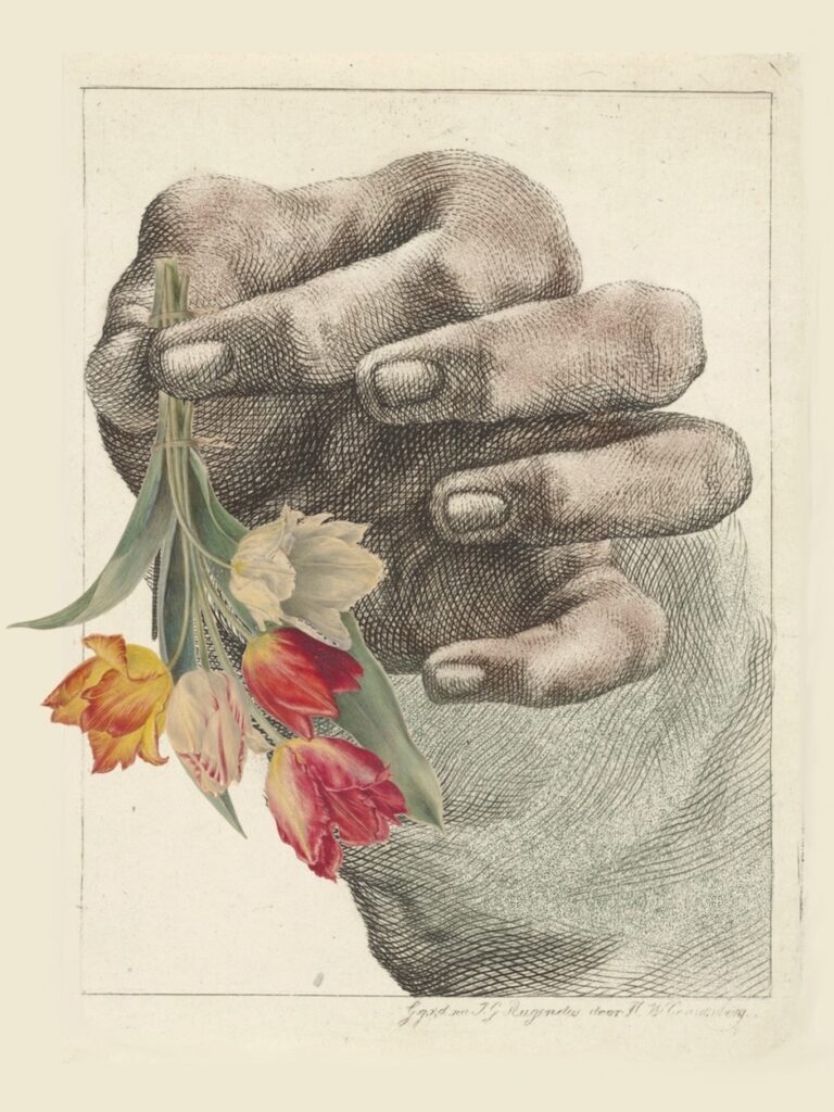 Holding Flower by Maya Adams (CC BY-NC 4.0)