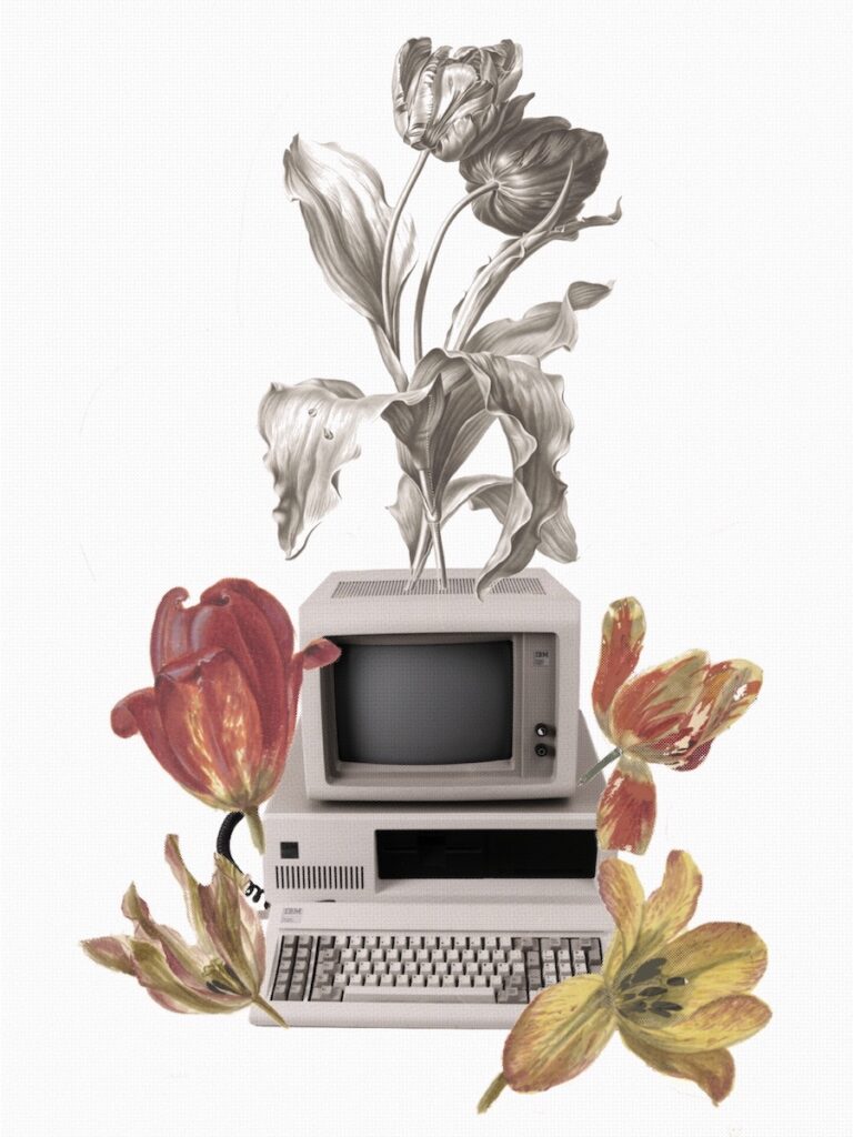 Computer Flower by Maya Adams (CC BY-NC 4.0)