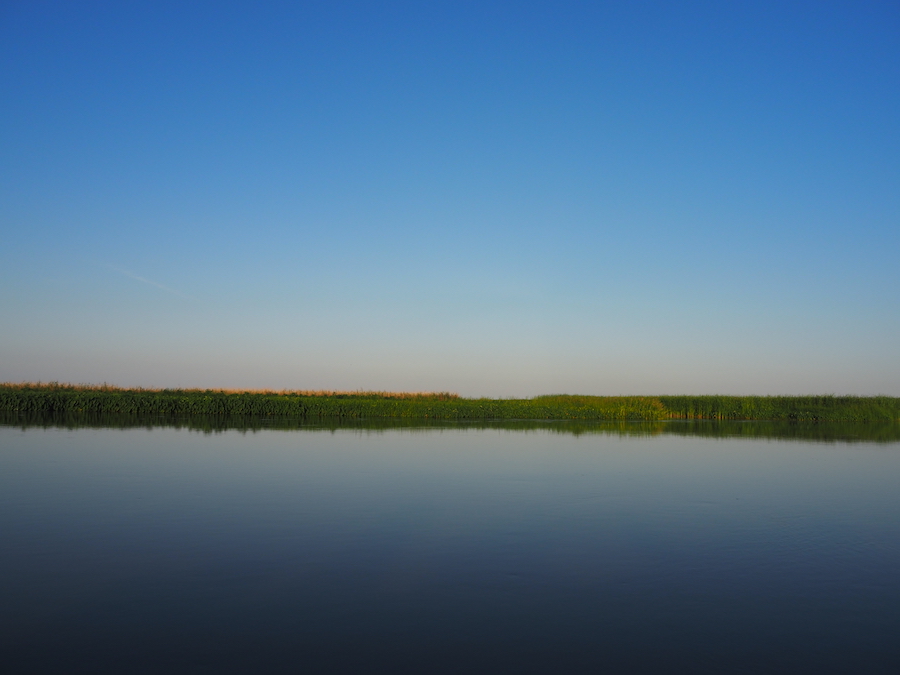 Storms & Wetlands by Jen Liu (CC BY-NC 4.0)