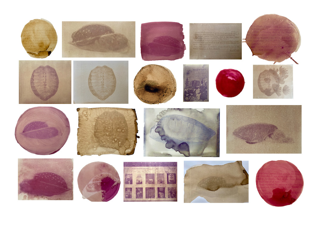 Composite of anthotype prints