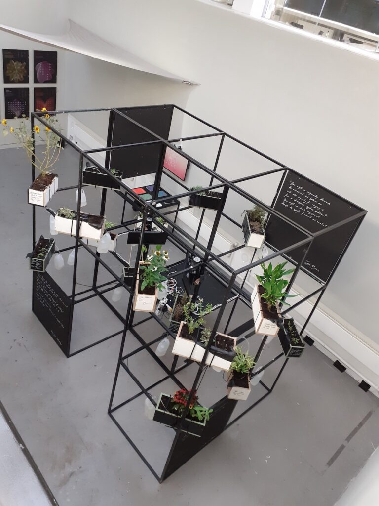 Overview of the Obtrusive Relationships installation