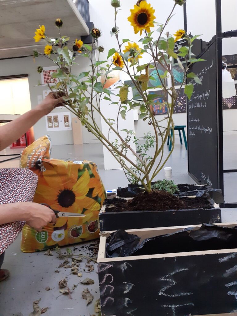 Planting Obtrusive Relationships