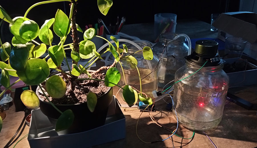 Indoor monitoring of house plants using permacomputing.