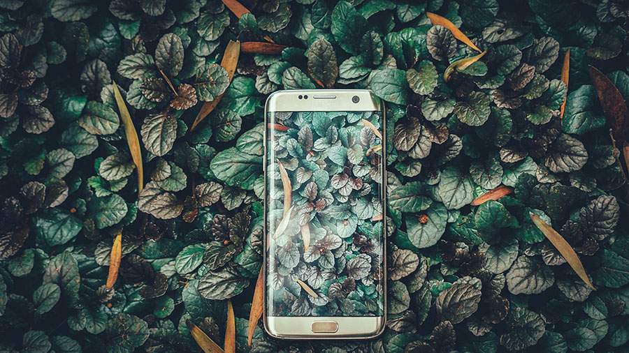 Green leafy background with an almost invisible smart phone in the center