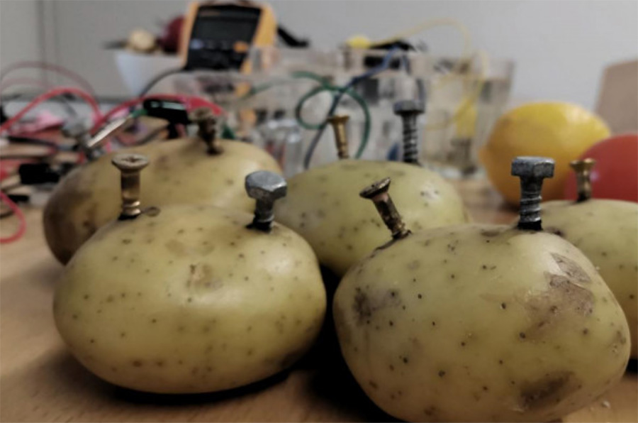 Five large potatoes with big screws in them