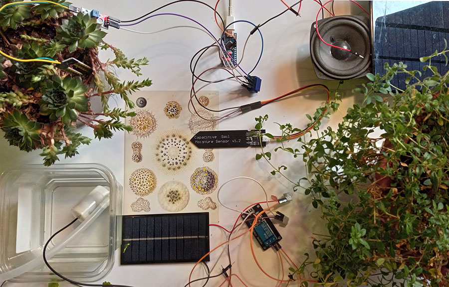Repurposed tech monitoring soil conditions for house plants