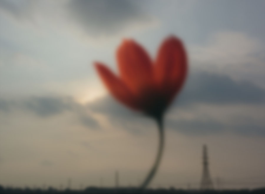 A heavily blurred red flower with hazy clouds and some electricity pylons in the background.