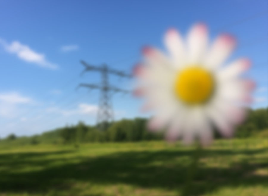 A heavily blurred daisy sits on the right of the image a blurred pylon is visibile in the background to the left