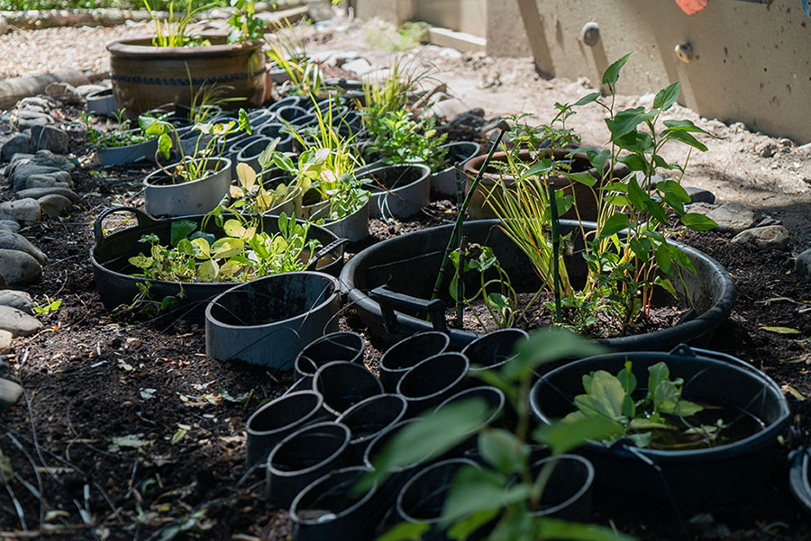 A garden designed to generate electricity, featuring various round containers of different sizes filled with plants.
