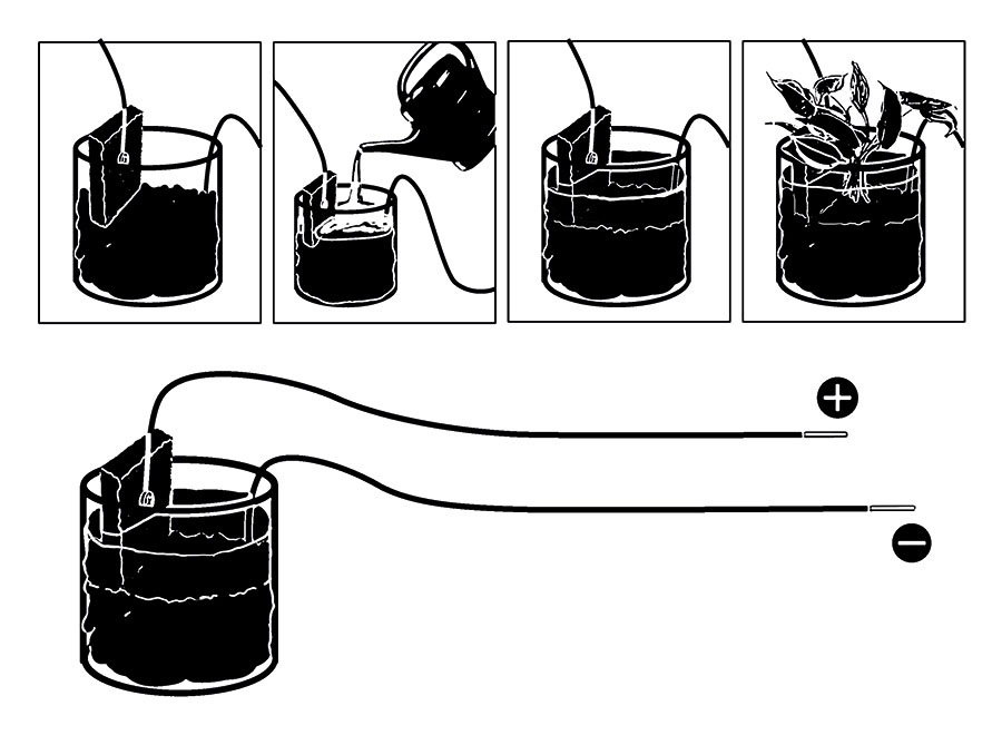 Cartoon-style drawings showing the step-by-step process of making mud cells.