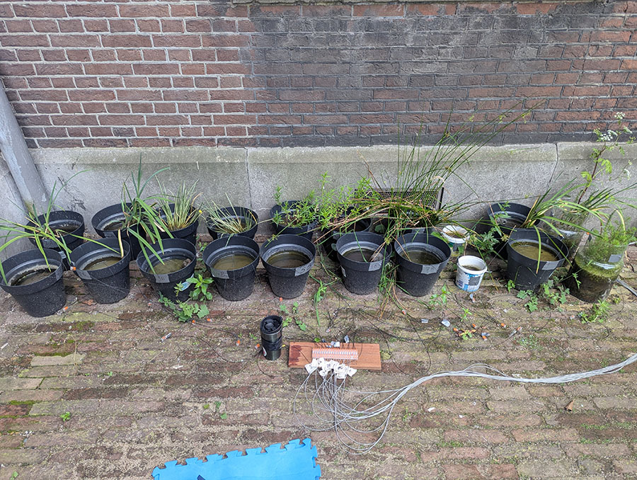 The electrical garden of the critical infrastructure lab at the University of Amsterdam in collaboration with Sunjoo Lee.